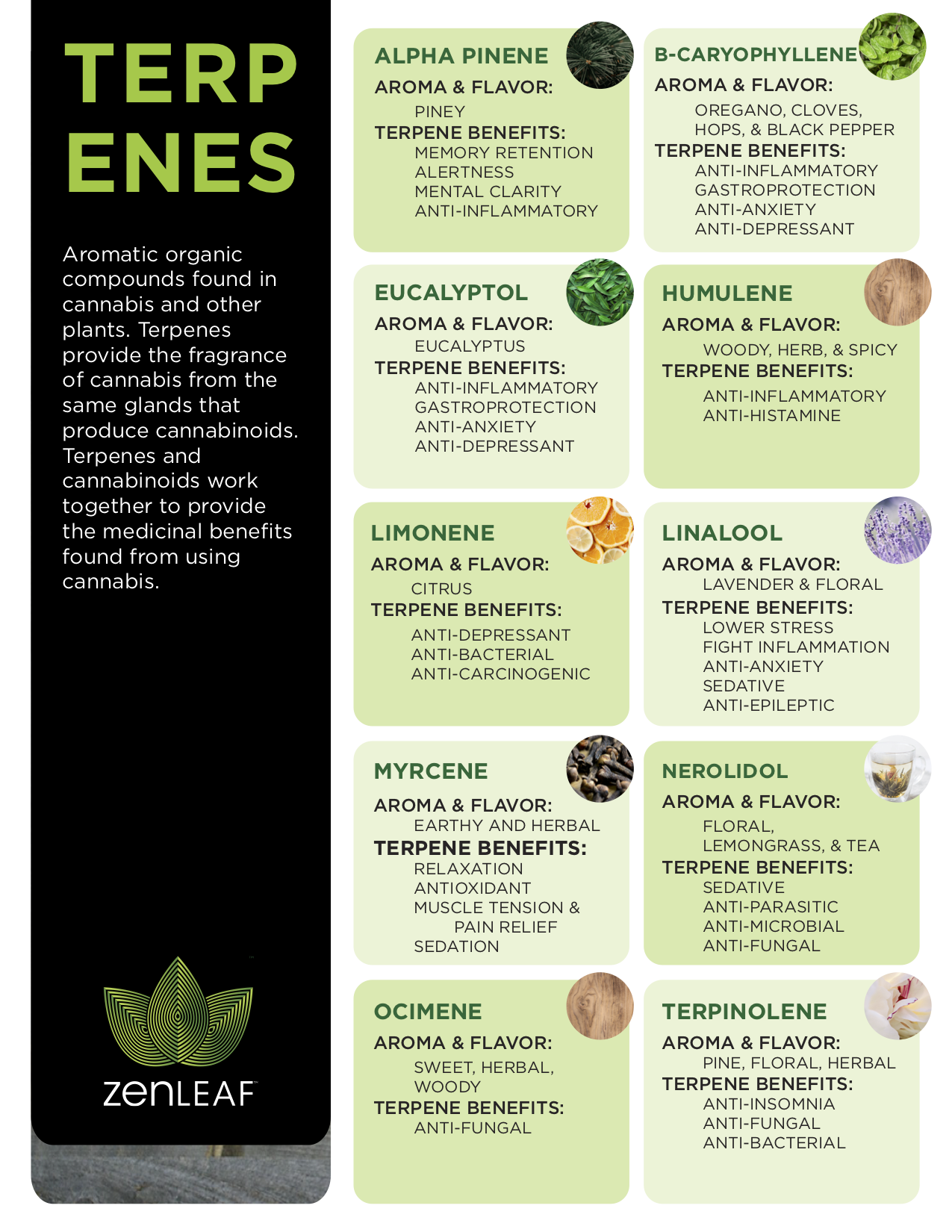 Terpenes Chart