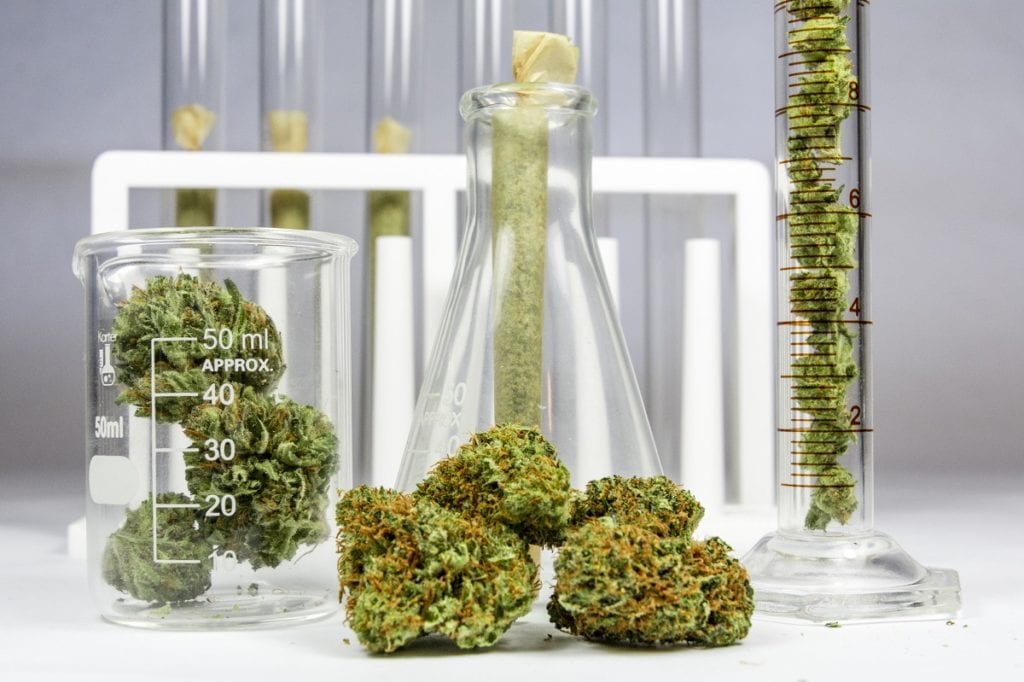 cannabis-laboratory