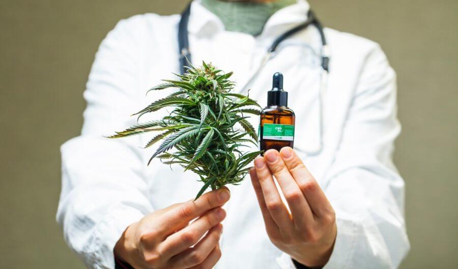 Someone holding fresh cannabis flowers alongside a bottle of oil