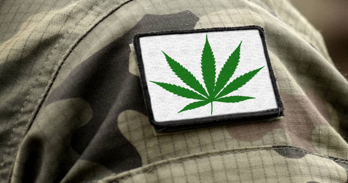 Veterans Cannabis Access
