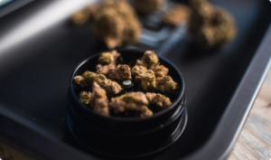 Photo of a small bowl of dried cannabis flower